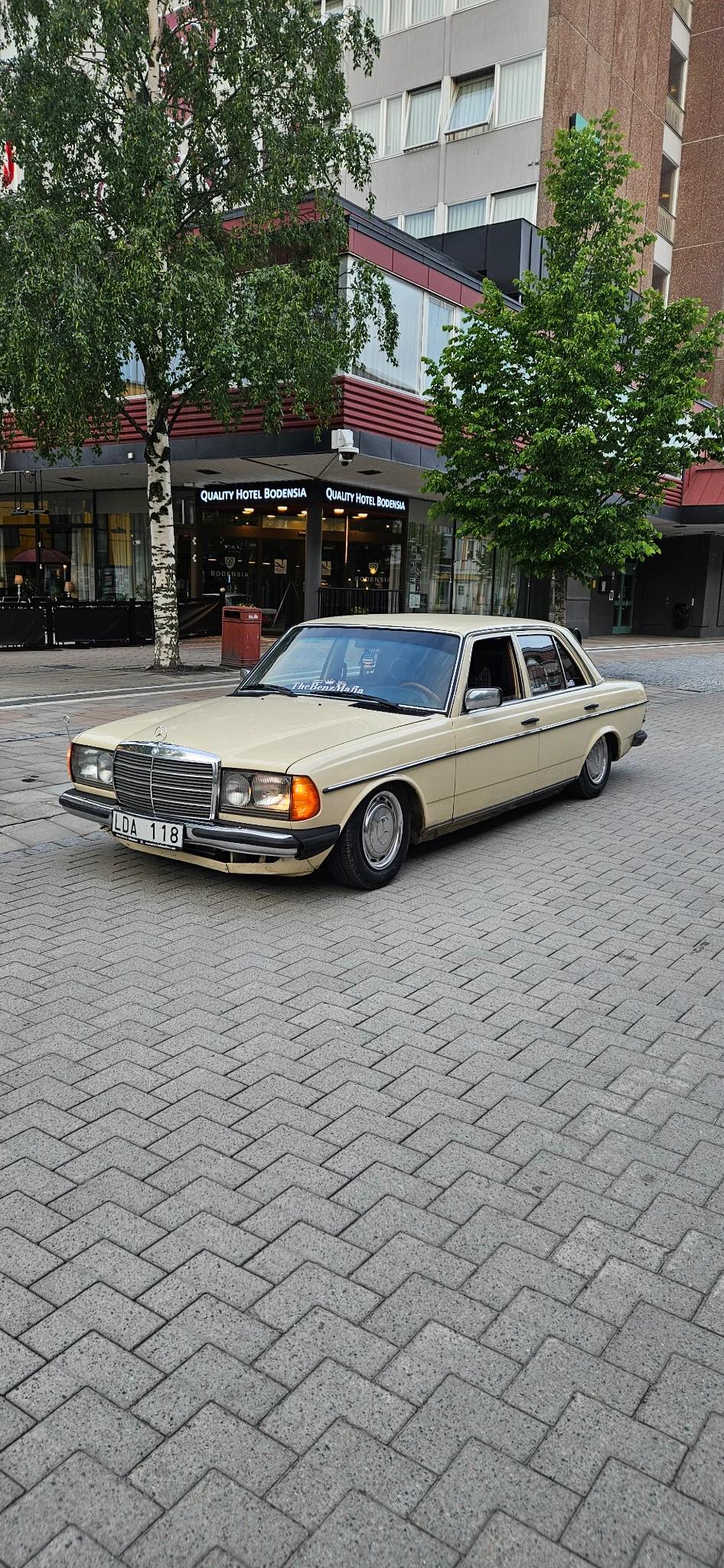 mercedes w123